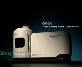 ICP3000a(chn)ƷB